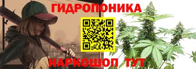 ECSTASY Шелехов