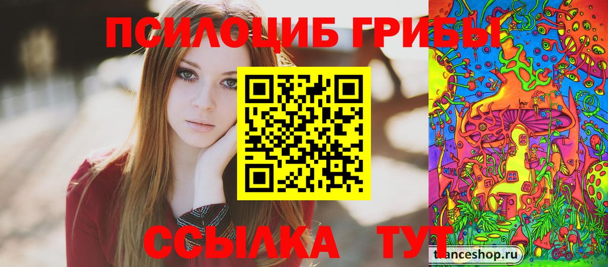 Псилоцибиновые грибы мухоморы Торжок
