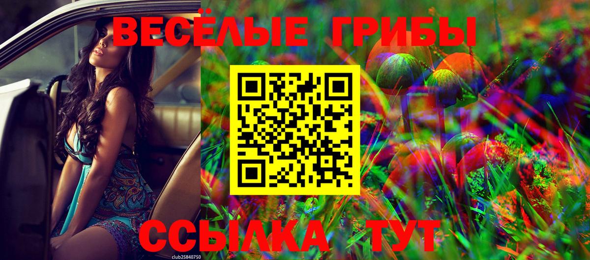 Галлюциногенные грибы Psilocybe  Вход с VPN  Торжок  Псилоцибиновые грибы ЛСД 